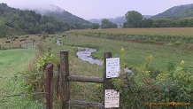 Bohemian Creek, a Wisconsin trout stream in La Crosse County.