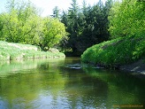 Kickapoo River, a Wisconsin trout stream in Vernon County.