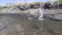 Mill Creek, a Wisconsin trout stream in Richland County.