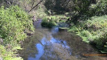 North Branch Bad Axe River, a Wisconsin trout stream in Vernon County.