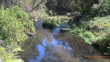 North Branch Bad Axe River, a Wisconsin trout stream in Vernon County.