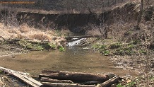 Picatee Creek, a Wisconsin trout stream in Crawford County.