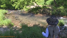 Pine Creek, a Wisconsin trout stream in Richland County.