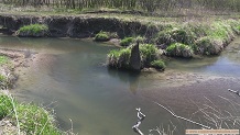 Willow Creek, a Wisconsin trout stream in Richland County.