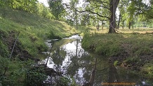 West Branch Mill Creek, a Wisconsin trout stream in Richland County.