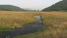 Camp Creek, a Wisconsin trout stream in Richland County.