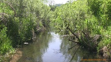 Chipmunk Coulee Creek, a Wisconsin trout stream in Crawford County.