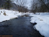Trout stream in Southwest Wisconsin.