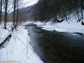 Trout stream in Southwest Wisconsin.