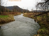 Trout stream in Southwest Wisconsin.