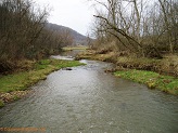 Trout stream in Southwest Wisconsin.