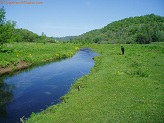 Trout stream in Southwest Wisconsin.