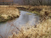 Trout stream in Southwest Wisconsin.