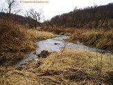 Trout stream in Southwest Wisconsin.