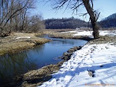 Trout stream in Southwest Wisconsin.