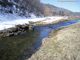 Trout stream in Southwest Wisconsin.