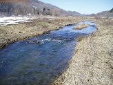Trout stream in Southwest Wisconsin.
