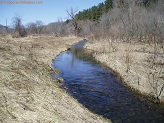 Trout stream in Southwest Wisconsin.