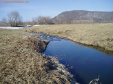 Trout stream in Southwest Wisconsin.