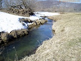 Trout stream in Southwest Wisconsin.