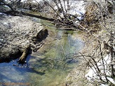Trout stream in Southwest Wisconsin.