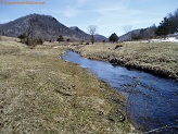 Trout stream in Southwest Wisconsin.
