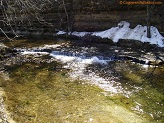 Trout stream in Southwest Wisconsin.