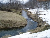 Trout stream in Southwest Wisconsin.