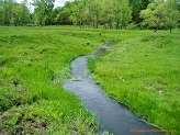 Trout stream in Southwest Wisconsin.