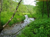 Trout stream in Southwest Wisconsin.