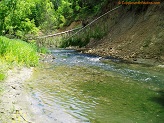 Trout stream in Southwest Wisconsin.
