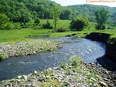 Trout stream in Southwest Wisconsin.