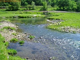 Trout stream in Southwest Wisconsin.
