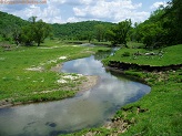 Trout stream in Southwest Wisconsin.