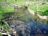 Trout stream in Southwest Wisconsin.