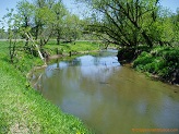 Trout stream in Southwest Wisconsin.