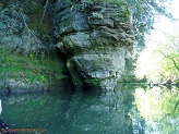 Trout stream in Southwest Wisconsin.