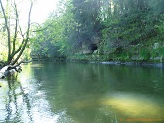 Trout stream in Southwest Wisconsin.