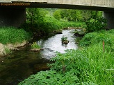 Trout stream in Southwest Wisconsin.