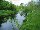 Trout stream in Southwest Wisconsin.