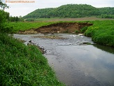 Trout stream in Southwest Wisconsin.