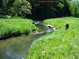 Trout stream in Southwest Wisconsin.