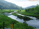 Trout stream in Southwest Wisconsin.