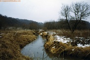 Trout stream in Southwest Wisconsin.