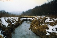 Trout stream in Southwest Wisconsin.