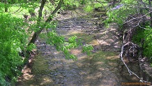 Trout stream in Southwest Wisconsin.