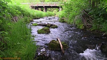 Trout stream in Southwest Wisconsin.