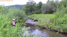 Trout stream in Southwest Wisconsin.