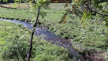 Trout stream in Southwest Wisconsin.
