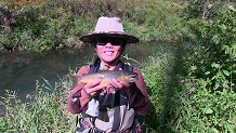 Trout stream in Southwest Wisconsin.